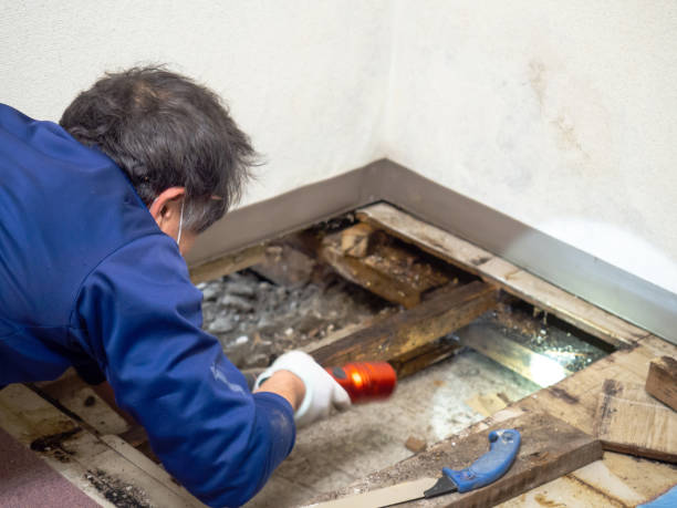 Best Crawl Space Mold Removal  in Rockaway Beach, OR