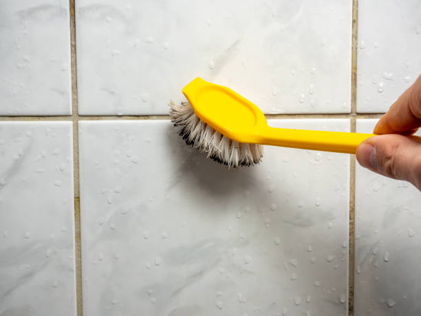 Best Mold Damage Repair  in Rockaway Beach, OR