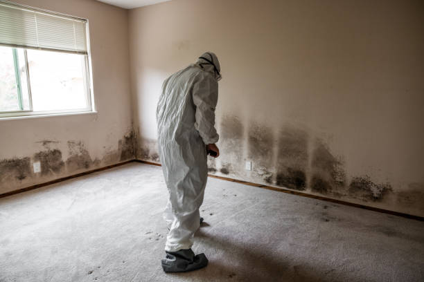 Best Mold Testing  in Rockaway Beach, OR